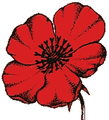 The Poppy Object-Oriented Language