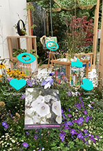 image of the biophilic garden AR app
