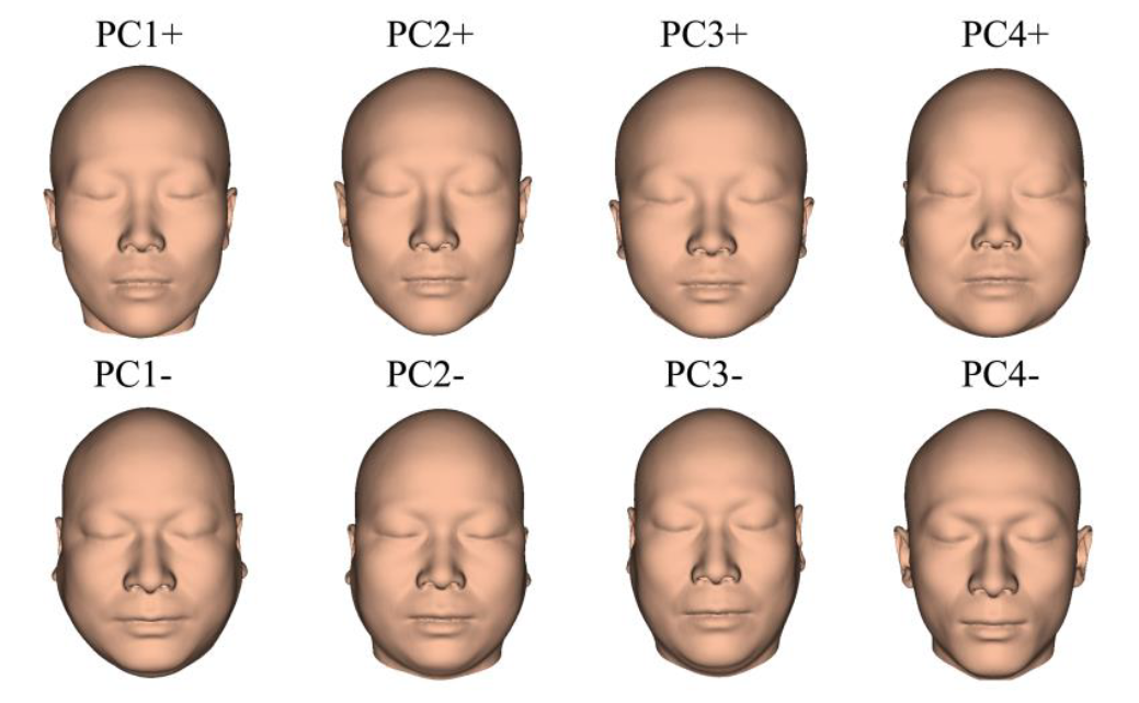 facial reconstruction